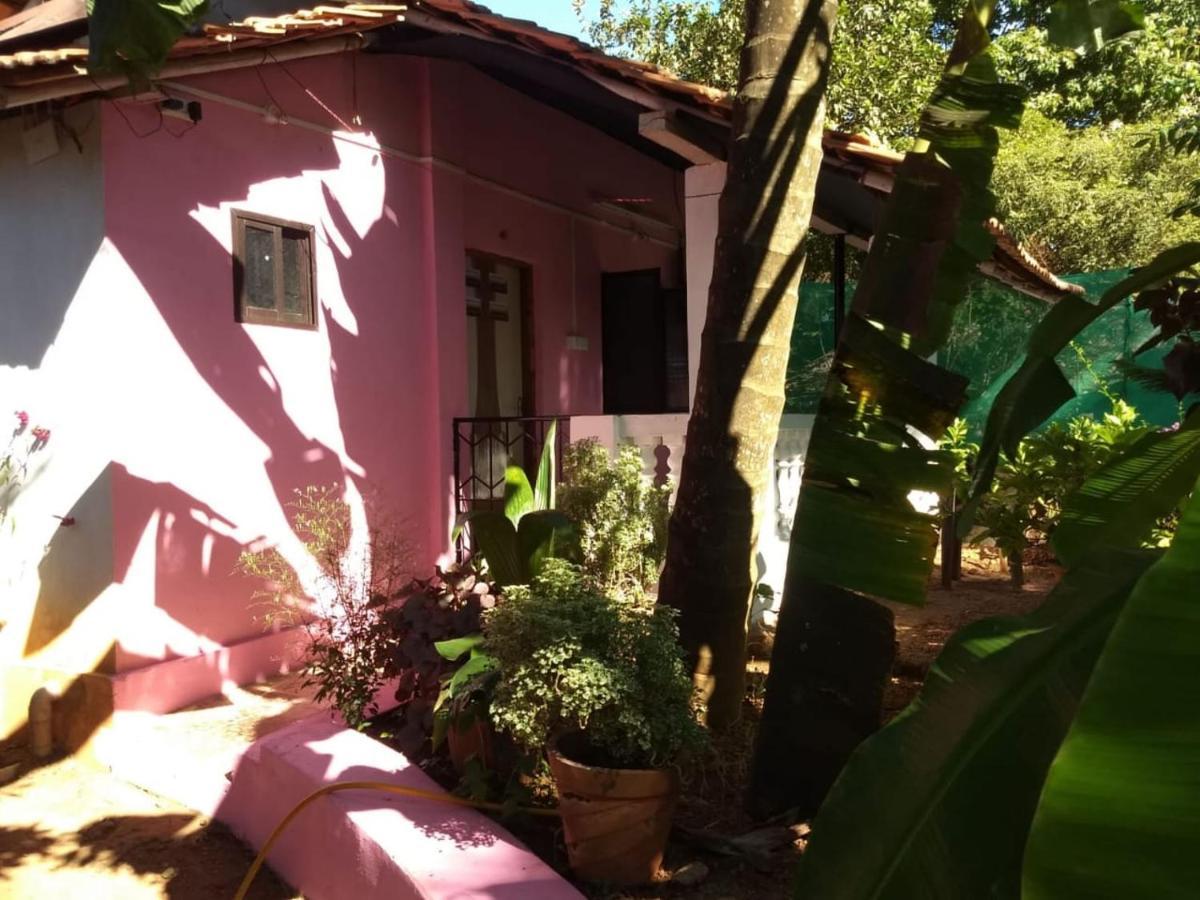 Апартаменти Agonda Pink House Канакона Екстер'єр фото